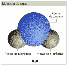 molécula de agua